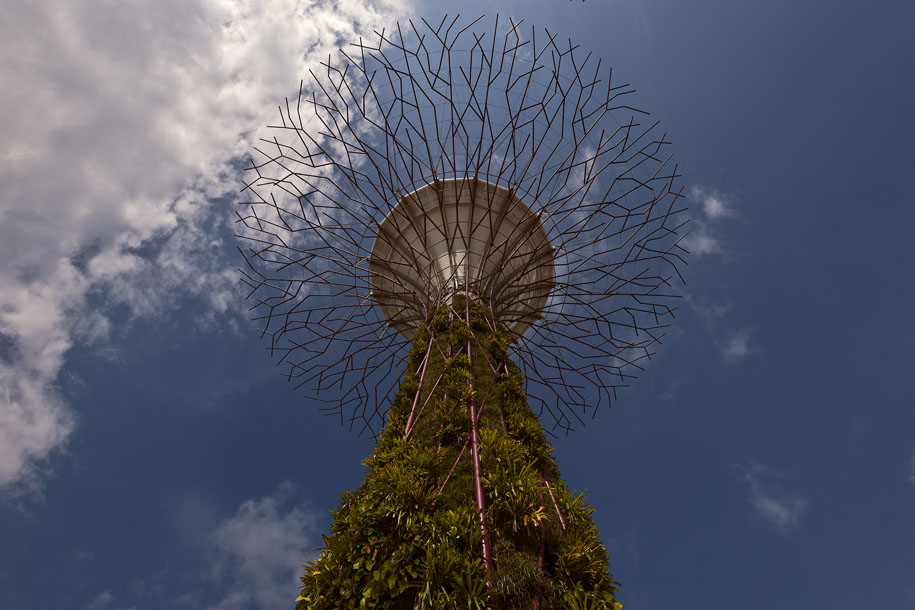 'Supertree' (Jul 2012) - Gardens by the Bay, Singapore