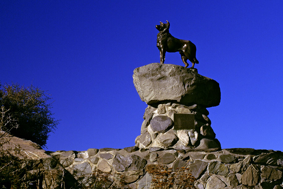 'Bronze Sheepdog' (Apr 1996) - Lake Tekapo, New Zealand