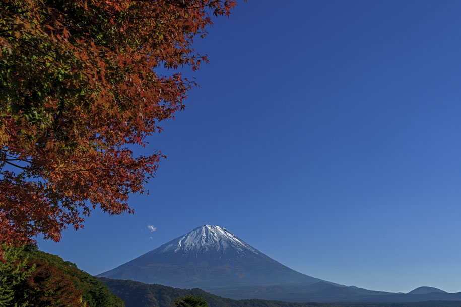 'Mount Fuji in Autumn' (Oct 2018) - Saiko Lake, Japan