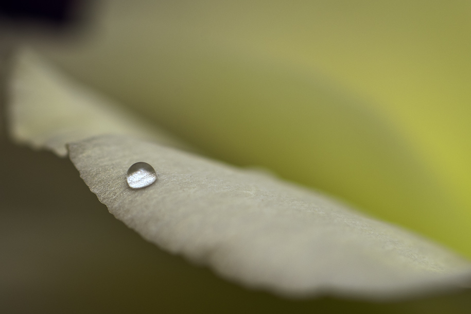 'A Drop of Water' (Mar 2008) - Bukit Batok, Singapore