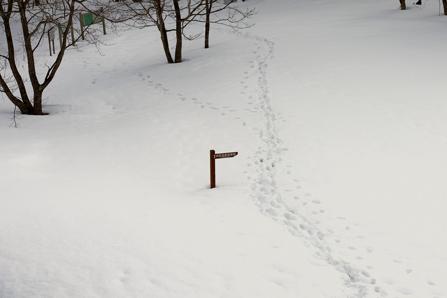 'Trails on the Snow' (Mar 2010) - Hokkaido, Japan