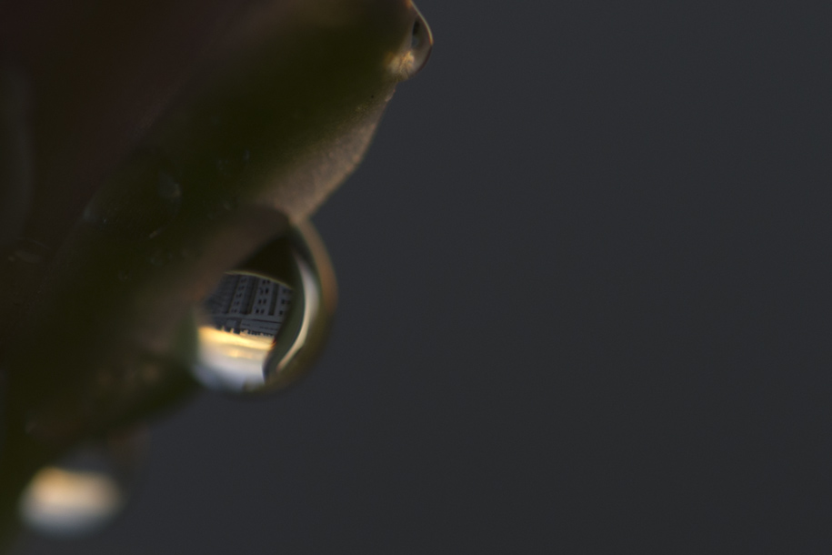 'View through Water Drop' (Dec 2011) - Bukit Batok, Singapore