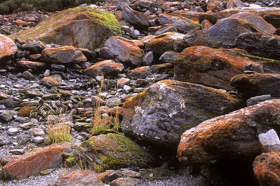 'Orange Rocks' (Apr 1996) - Fox Glacier, New Zealand