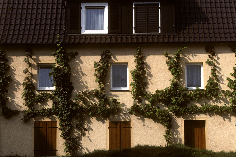'Climbing Plants House' (Oct 1988) -  Tamm, West Germany