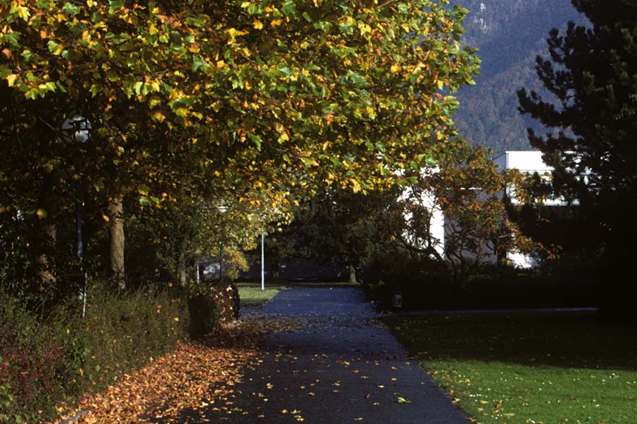 'Beginning of Autumn' (Oct 1988) - Interlaken Ost, Switzerland
