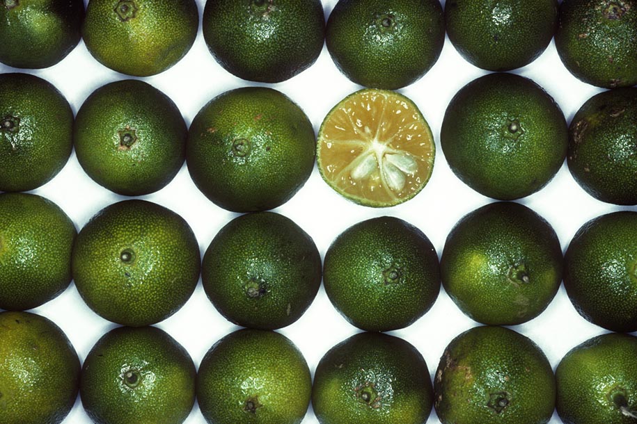 'Limes' (Dec 1981) - Henderson Crescent, Singapore