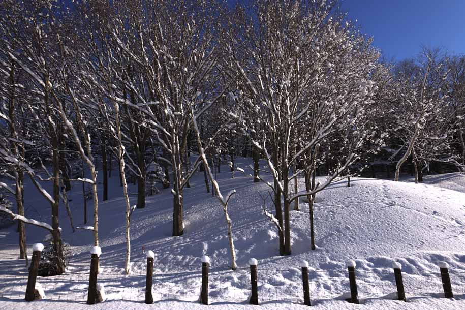 'After Heavy Snowfall' (Mar 2010) - Hokkaido, Japan
