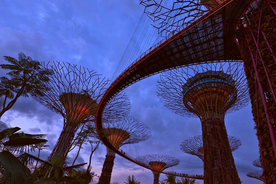 'Supertrees at Dusk' (Jul 2012) - Gardens by the Bay, Singapore