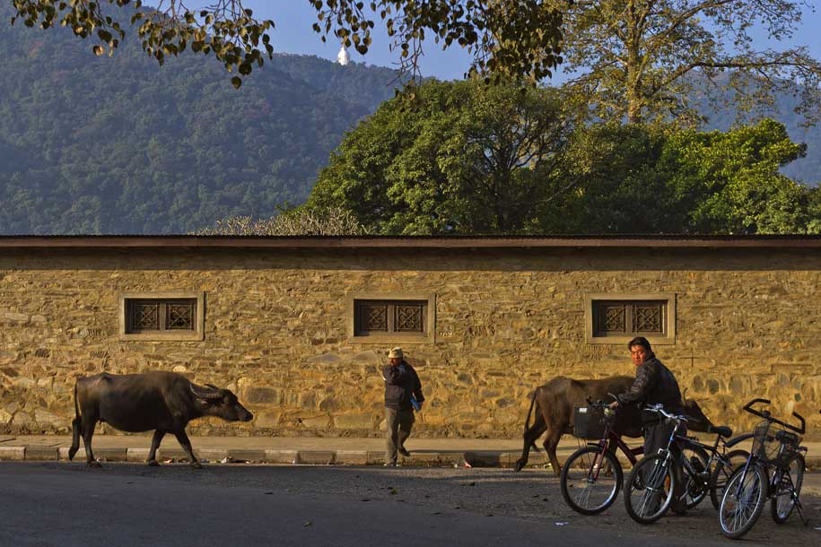 'Morning Stroll' (Dec 2009) - Pokhara, Nepal