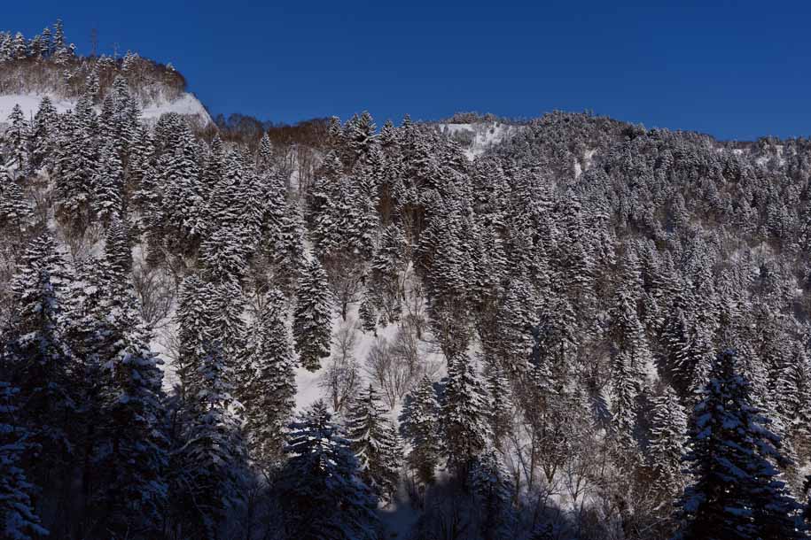 'Blanketed in Snow' (Mar 2010) - Hokkaido, Japan