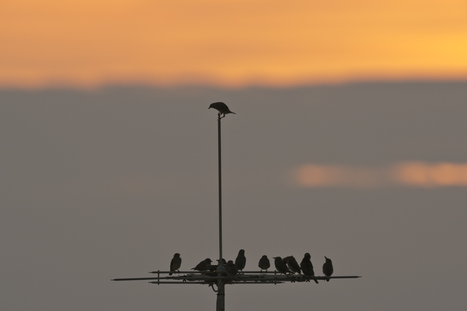'It's Lonely at the Top' (Jul 2013) - Bukit Batok, Singapore