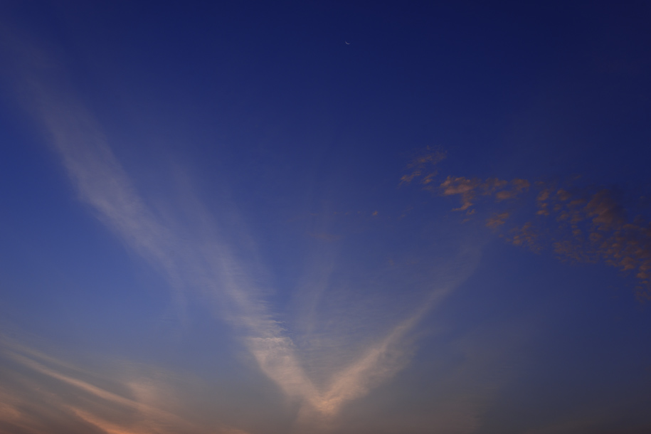'V Formation' (Feb 2015) - Bukit Batok, Singapore