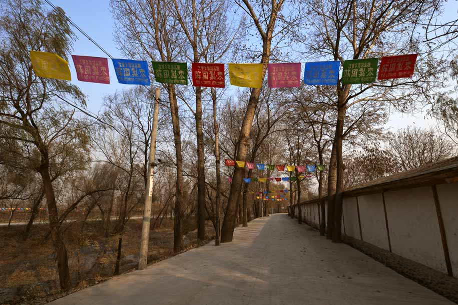 'Autumn Bunting' (Nov 2009) - Beijing, China