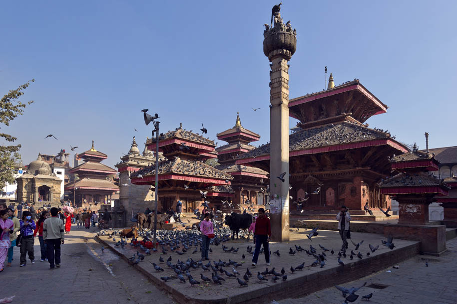 'Pigeons, Pigeons, Everywhere!' (Dec 2009) - Kathmandu, Nepal