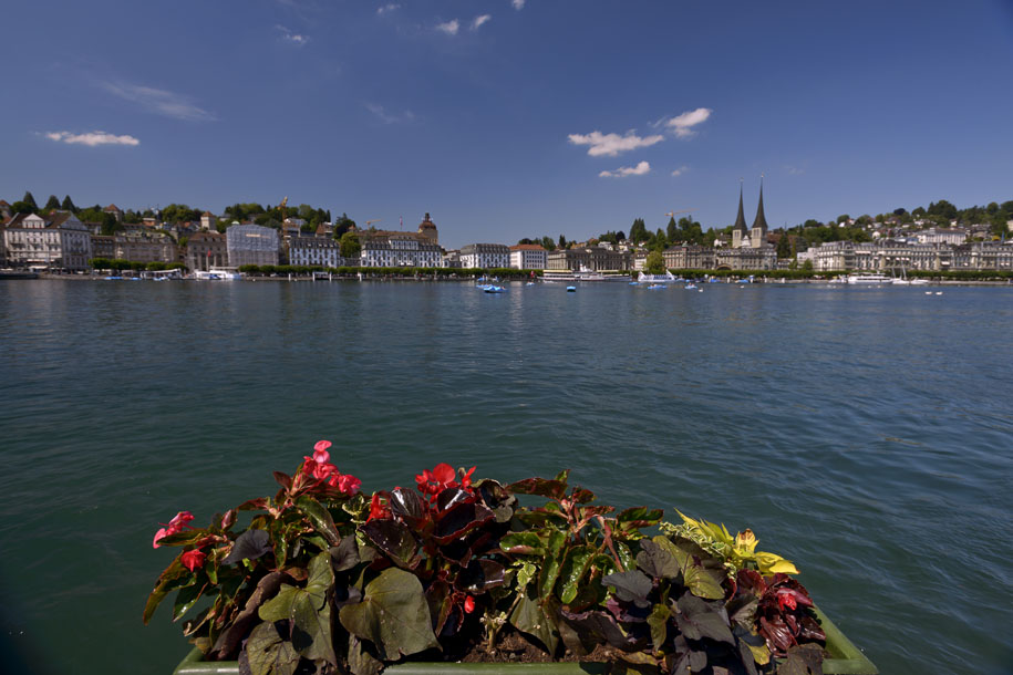 'Flower Bed by the Lake' (Jun 2014) - Lucerne, Switzerland