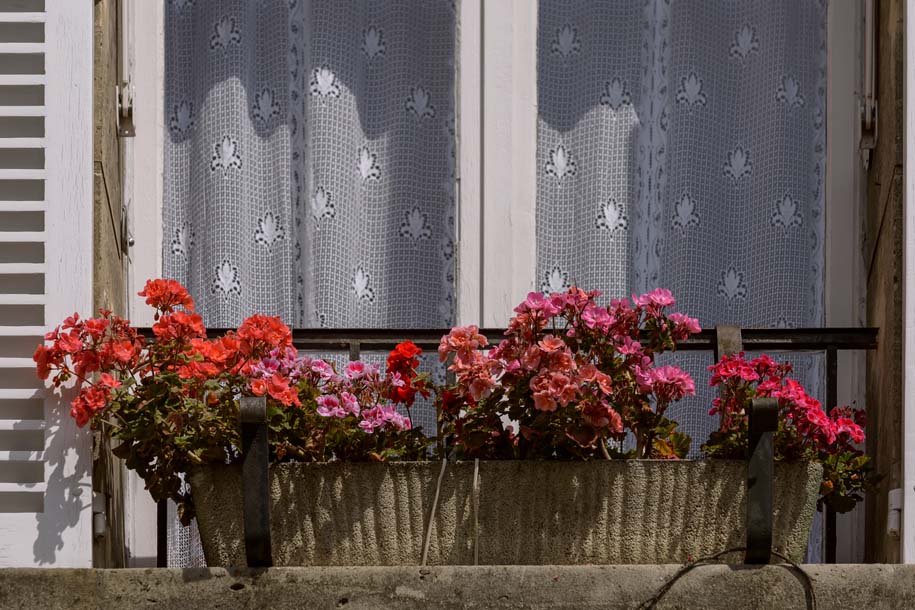 'Flower Bed' (Jun 2014) - Paris, France