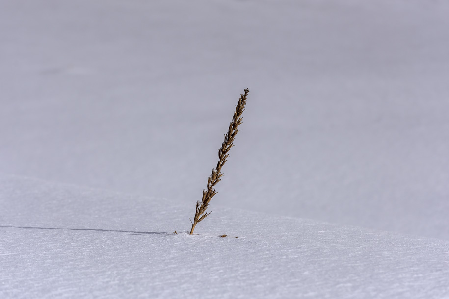'Isolated' (Dec 2016) - Hokkaido, Japan