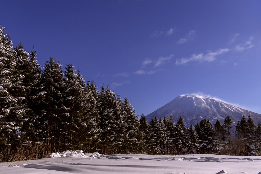 'Trees, Snow and Mountain' (Dec 2016) - Hokkaido, Japan