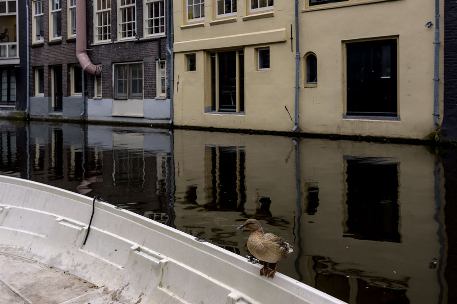 'Standing Alone' (Apr 2017) - Amsterdam, Netherlands