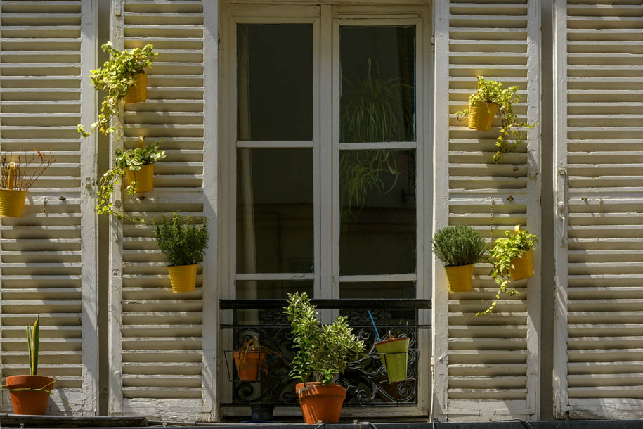'Hanging Plants' (Jun 2014) - Paris, France