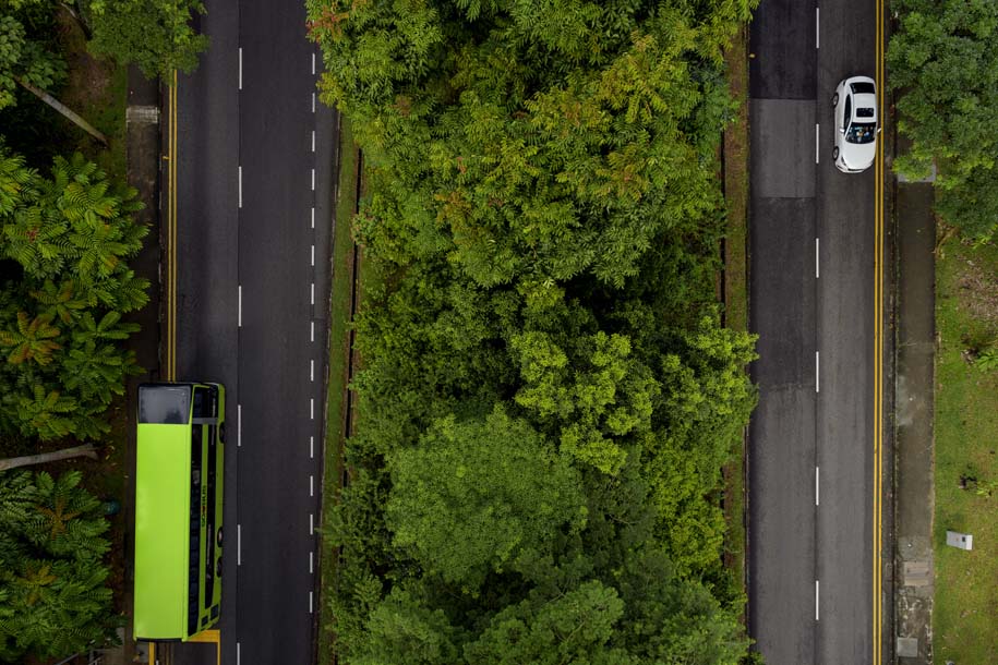 'Treetop' (May 2022) - Henderson Waves, Singapore