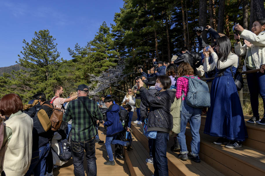 'Photographers' (Apr 2023) - Fujiyoshida, Japan