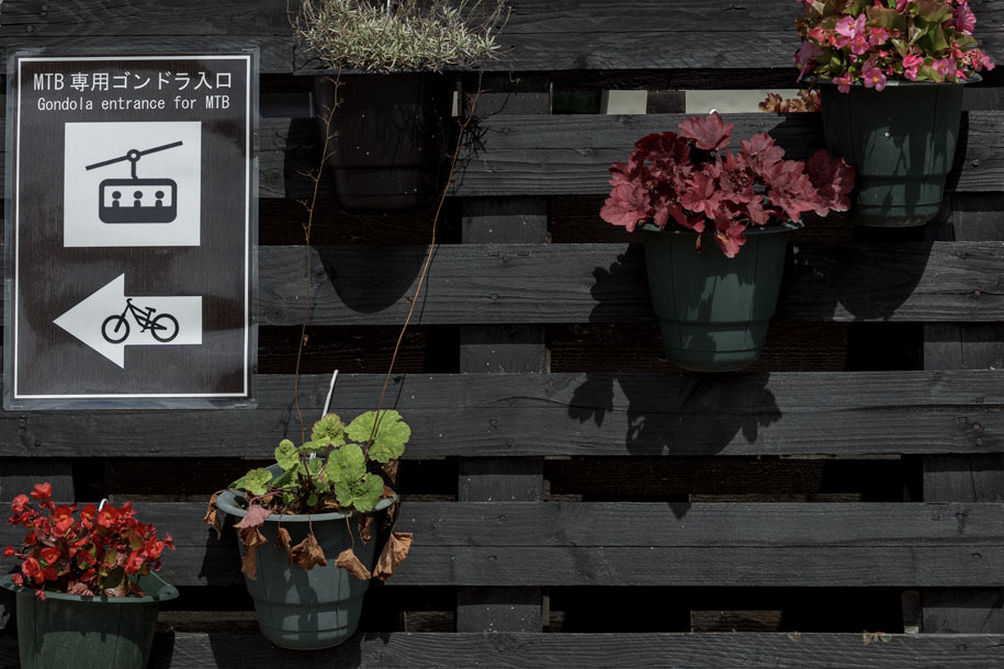 'Signboard & Flowers' (Aug 2023) - Nagano, Japan