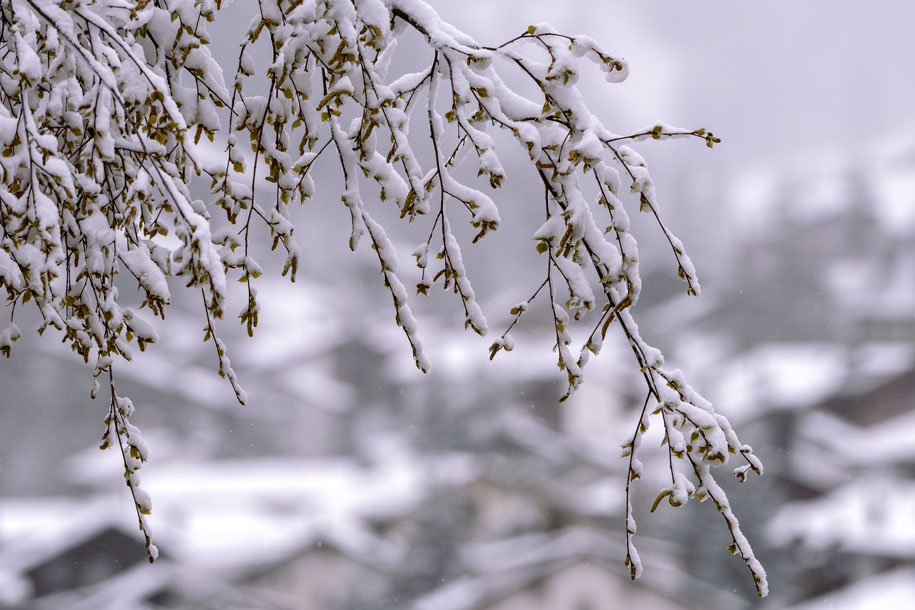 'After Snowfall' (May 2017) - Zermatt, Switzerland