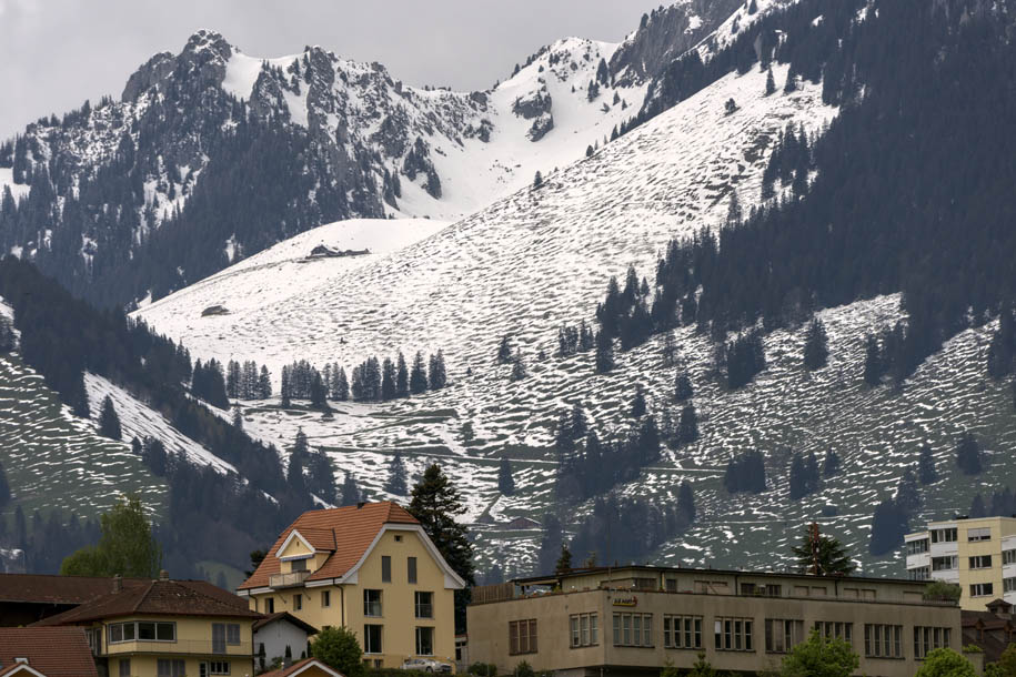 'Frozen Field' (May 2017) - Lake Thun, Switzerland