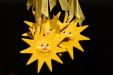 'Sunny Faces' (Sep 2002) - Bonn, Germany