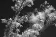'Leaves and Clouds' (May 2011) - Hillview, Singapore