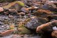 'Orange Rocks' (Apr 1996) - Fox Glacier, New Zealand