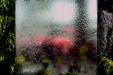 'Distorted Glass' (Dec 2006) - Bangkok, Thailand