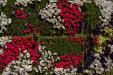 'Flower Wall' (Dec 2010) - Taipei, Taiwan