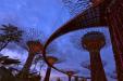 'Supertrees at Dusk' (Jul 2012) - Gardens by the Bay, Singapore