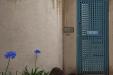 'Blue Flowers, Blue Gate' (Dec 2007) - Melbourne, Australia