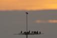 'It's Lonely at the Top' (Jul 2013) - Bukit Batok, Singapore