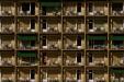 'Hotel Apartment' (Jun 2014) - Lucerne, Switzerland
