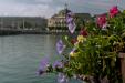 'Flowers by the River' (Jun 2014) - Lucerne, Switzerland