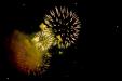 'Fireworks 6' (Aug 2015) - Collyer Quay, Singapore