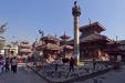 'Pigeons, Pigeons, Everywhere!' (Dec 2009) - Kathmandu, Nepal