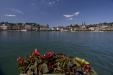 'Flower Bed by the Lake' (Jun 2014) - Lucerne, Switzerland