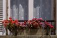 'Flower Bed' (Jun 2014) - Paris, France