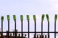 'Empty Bottles' (Jun 2014) - Paris, France