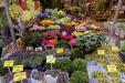 'Flowers for Sale' (Apr 2017) - Amsterdam, Netherlands
