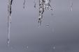 'Icicles 5' (Dec 2016) - Hokkaido, Japan