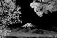 'Mount Fuji in Infrared' (Oct 2018) - Fujiyoshida, Japan