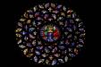'Stained Glass 79' (Apr 2017) - Barcelona, Spain