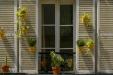 'Hanging Plants' (Jun 2014) - Paris, France
