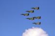 'Flight Formation' (Aug 2021) - Bukit Batok, Singapore